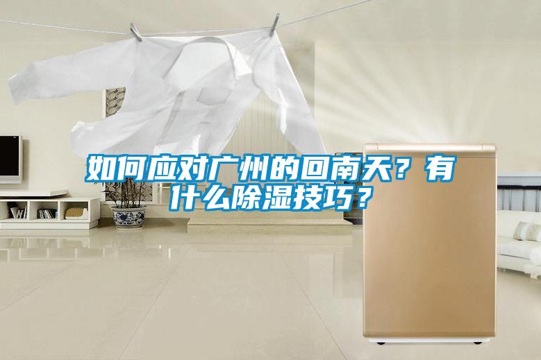 如何應對廣州的回南天？有什麽除濕技巧？