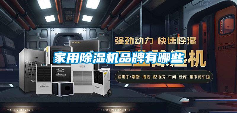 家用91视频链接下载品牌有哪些