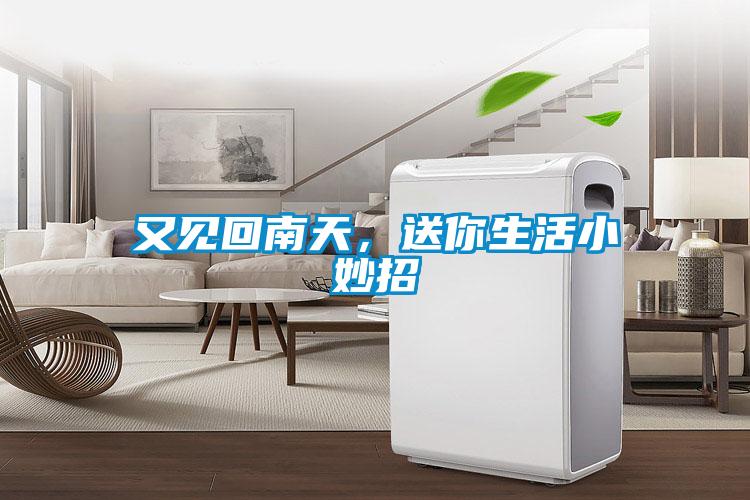又見回南天，送你生活小妙招