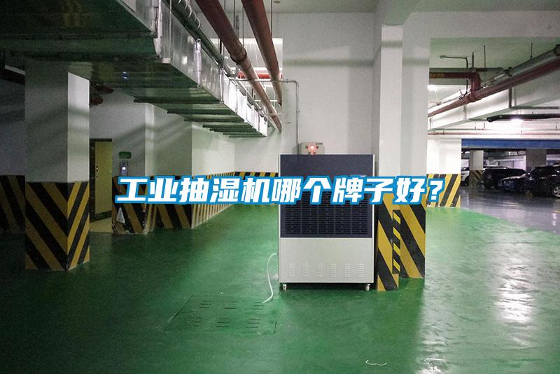 工業抽濕機哪個牌子好？