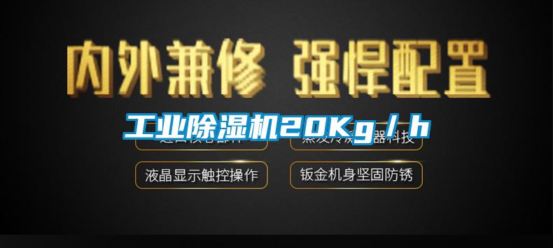 工業91视频链接下载20Kg/h