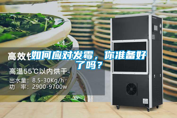 如何應對發黴，你準備好了嗎？