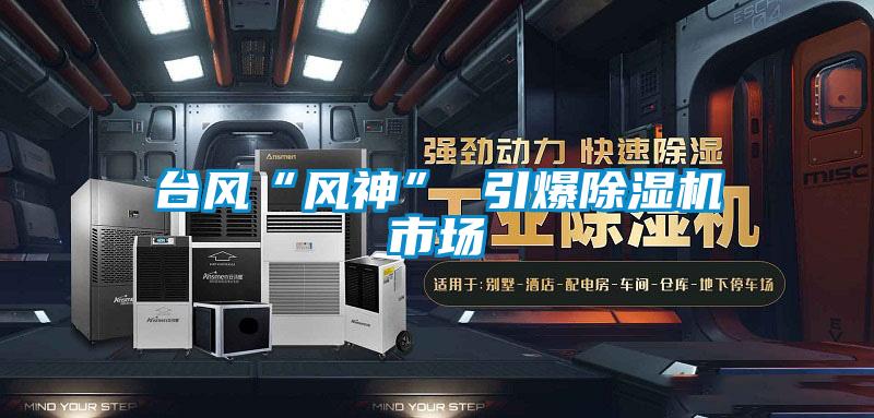 台風“風神” 引爆91视频链接下载市場