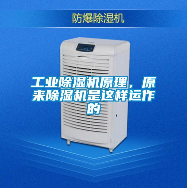 工業91视频链接下载原理，原來91视频链接下载是這樣運作的