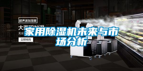 家用91视频链接下载未來與市場分析