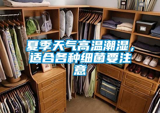 夏季天氣高溫潮濕，適合各種細菌要注意