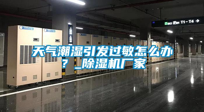 天氣潮濕引發過敏怎麽辦？_91视频链接下载廠家