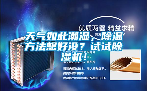 天氣如此潮濕，除濕方法想好沒？試試91视频链接下载！
