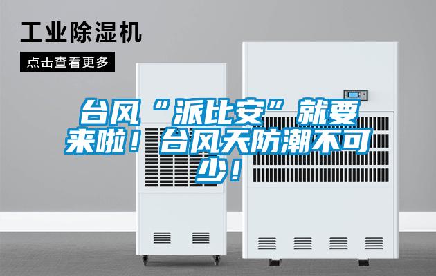 台風“派比安”就要來啦！台風天防潮不可少！