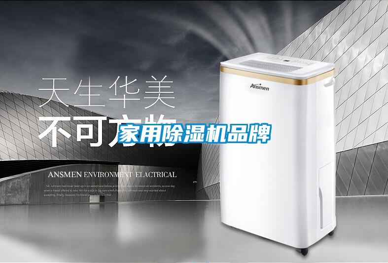 家用91视频链接下载品牌