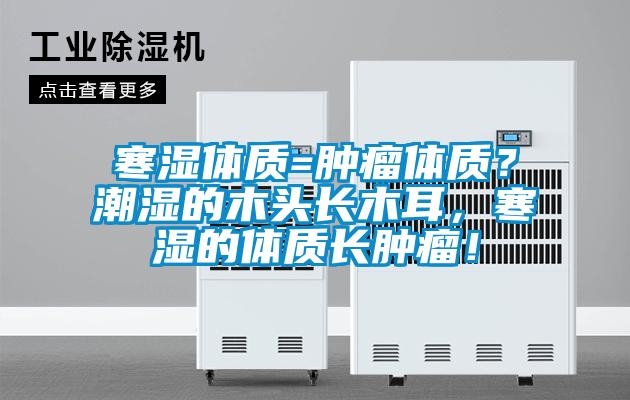 寒濕體質=腫瘤體質？潮濕的木頭長木耳，寒濕的體質長腫瘤！