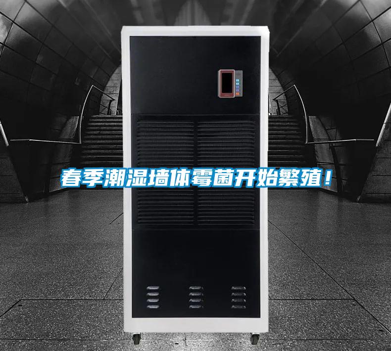 春季潮濕牆體黴菌開始繁殖！