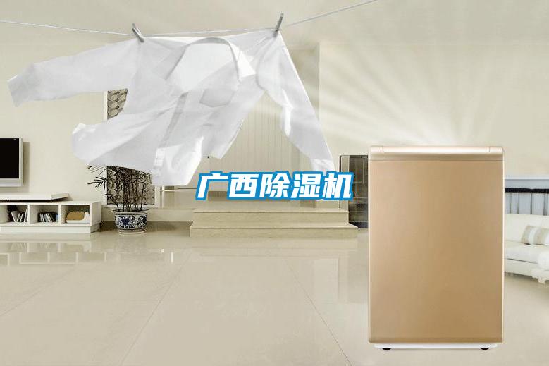 廣西91视频链接下载