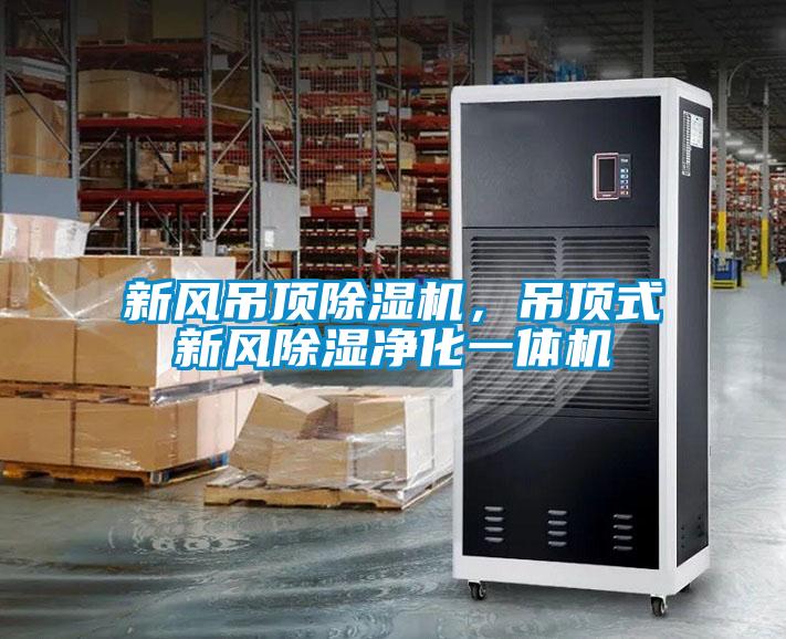 新風吊頂91视频链接下载，吊頂式新風除濕淨化一體機