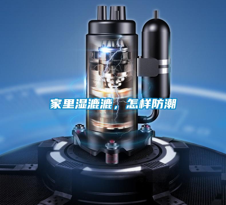 家裏濕漉漉，怎樣防潮