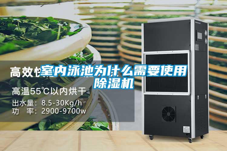 室內泳池為什麽需要使用91视频链接下载