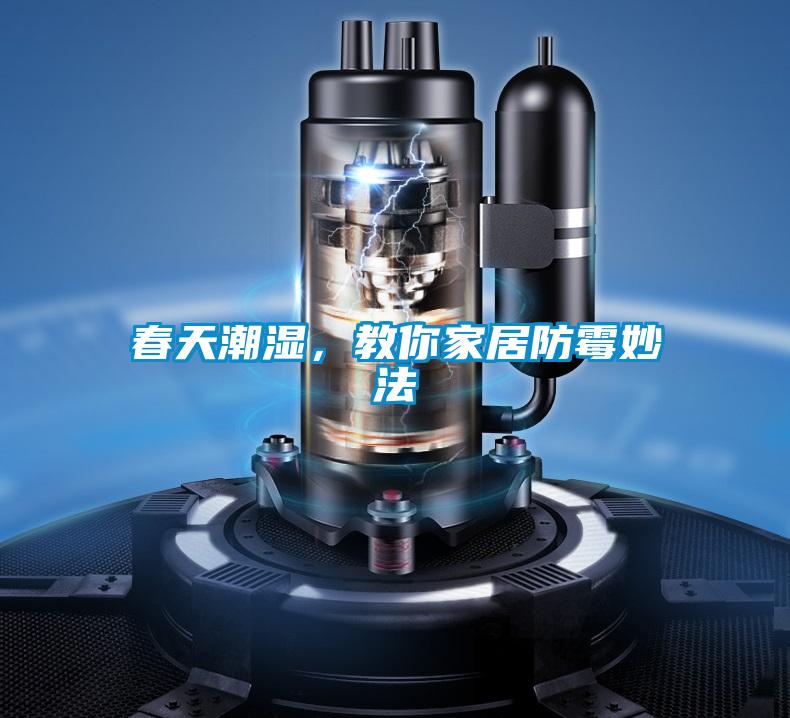 春天潮濕，教你家居防黴妙法