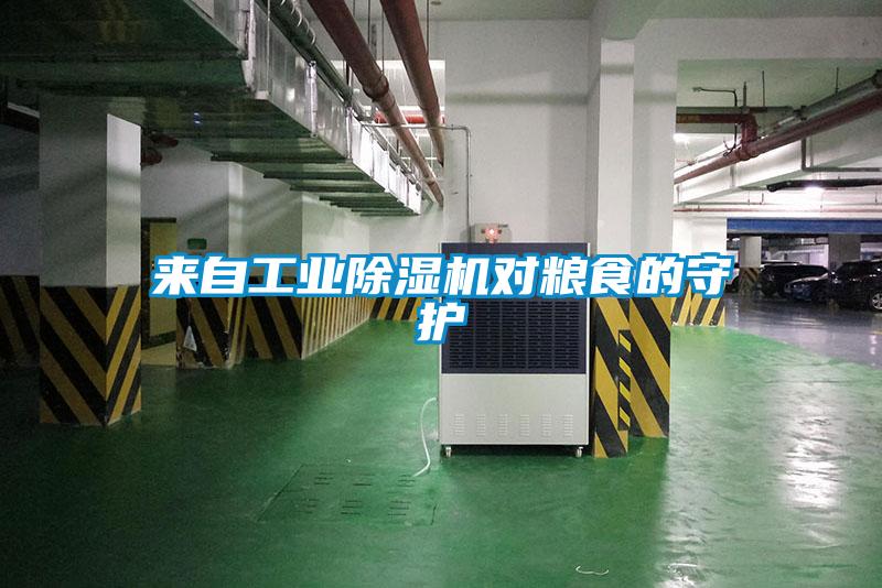 來自工業91视频链接下载對糧食的守護