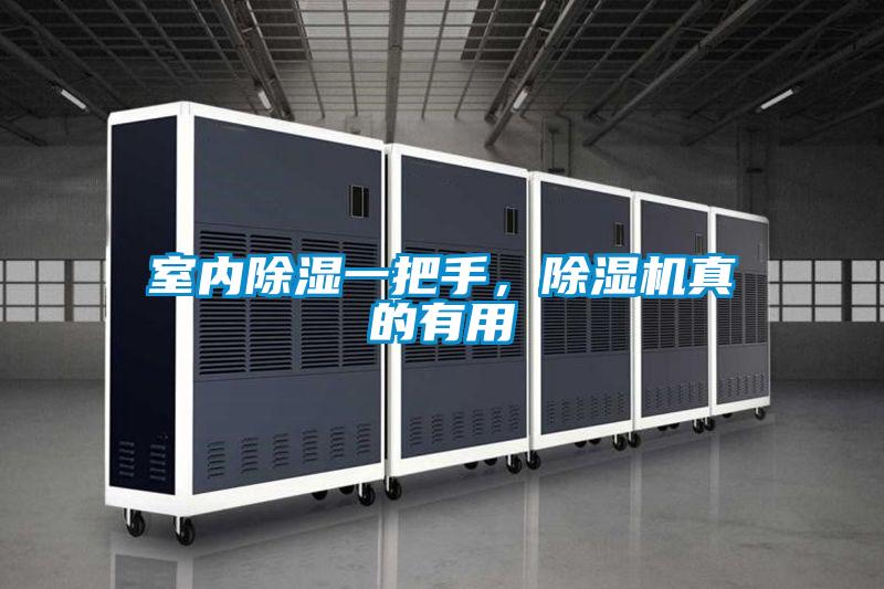 室內除濕一把手，91视频链接下载真的有用