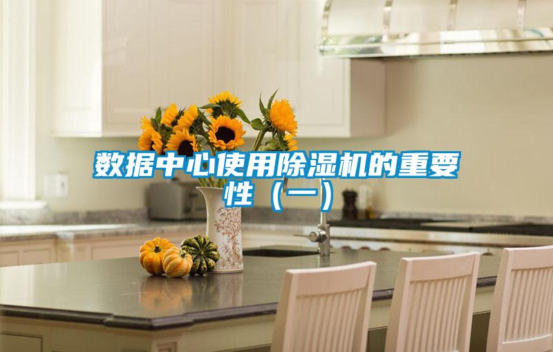 數據中心使用91视频链接下载的重要性（一）