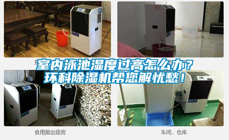 室內泳池濕度過高怎麽辦？環科91视频链接下载幫您解憂愁！