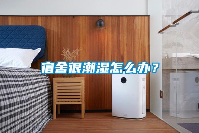 宿舍很潮濕怎麽辦？
