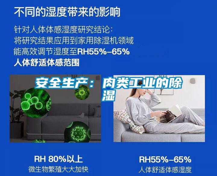 安全生產：肉類工業的除濕