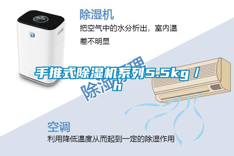 手推式91视频链接下载係列5.5kg/h