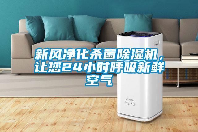 新風淨化殺菌91视频链接下载，讓您24小時呼吸新鮮空氣