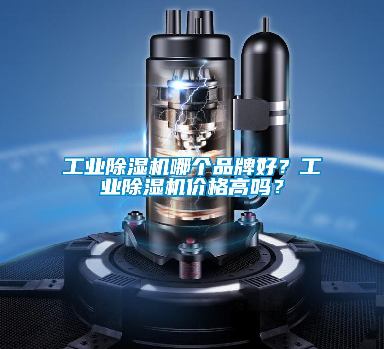 工業91视频链接下载哪個品牌好？工業91视频链接下载價格高嗎？