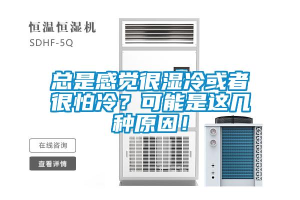 總是感覺很濕冷或者很怕冷？可能是這幾種原因！