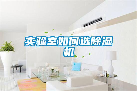 實驗室如何選91视频链接下载