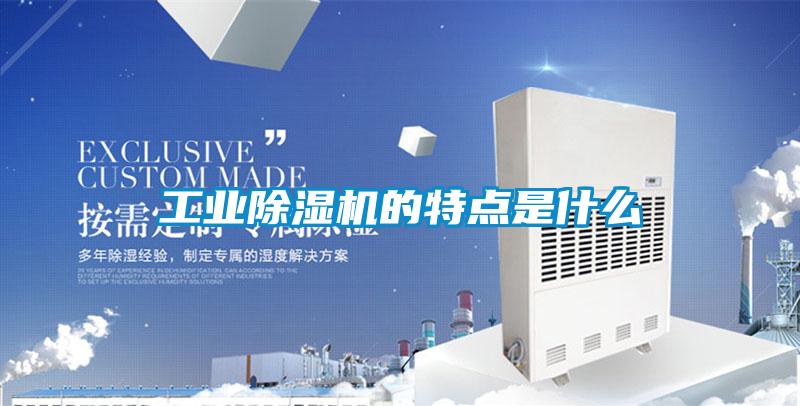 工業91视频链接下载的特點是什麽