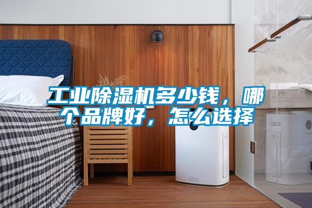 工業91视频链接下载多少錢，哪個品牌好，怎麽選擇