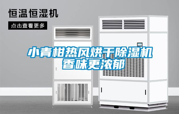 小青柑熱風烘幹91视频链接下载 香味更濃鬱