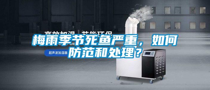 梅雨季節死魚嚴重，如何防範和處理？