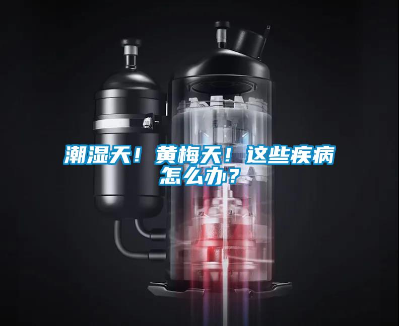 潮濕天！黃梅天！這些疾病怎麽辦？