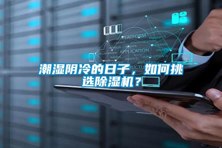 潮濕陰冷的日子，如何挑選91视频链接下载？