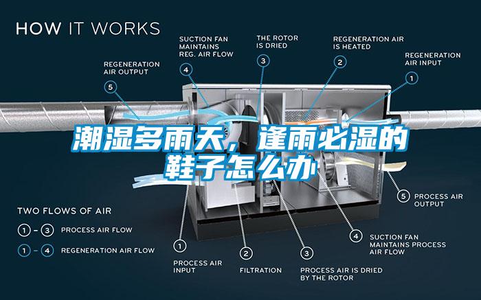 潮濕多雨天，逢雨必濕的鞋子怎麽辦