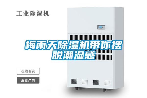 梅雨天91视频链接下载帶你擺脫潮濕感