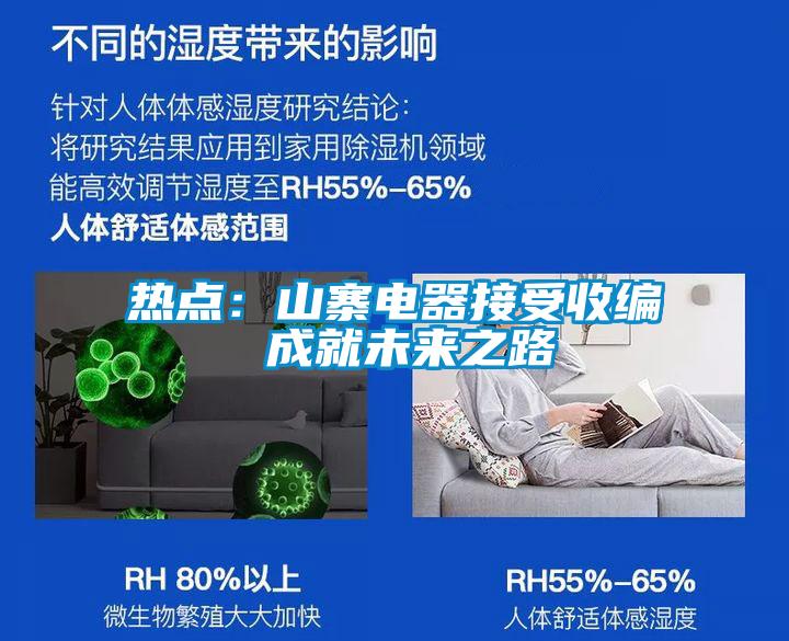 熱點：山寨電器接受收編 成就未來之路