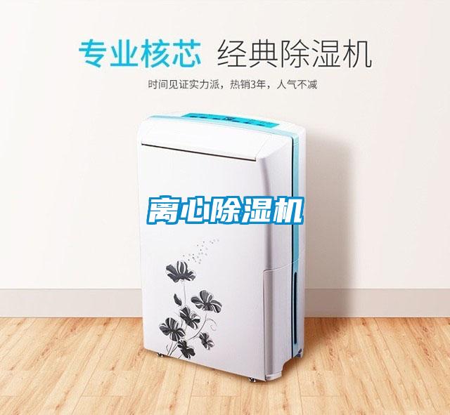 離心91视频链接下载