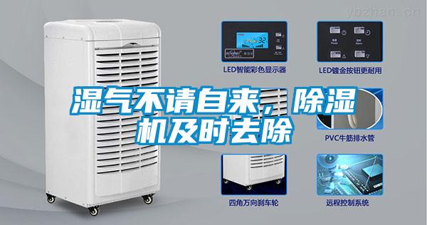 濕氣不請自來，91视频链接下载及時去除