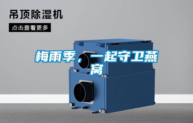 梅雨季，一起守衛燕窩