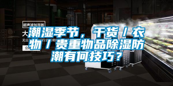 潮濕季節，幹貨／衣物／貴重物品除濕防潮有何技巧？