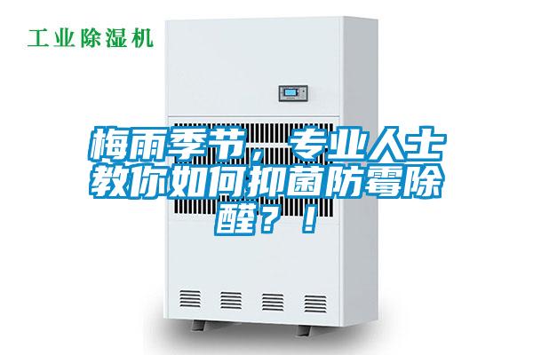 梅雨季節，專業人士教你如何抑菌防黴除醛？！