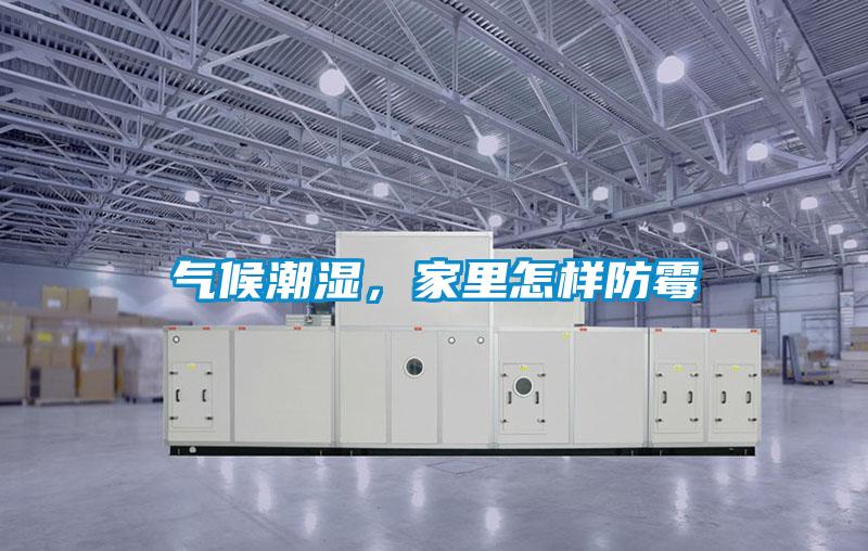 氣候潮濕，家裏怎樣防黴