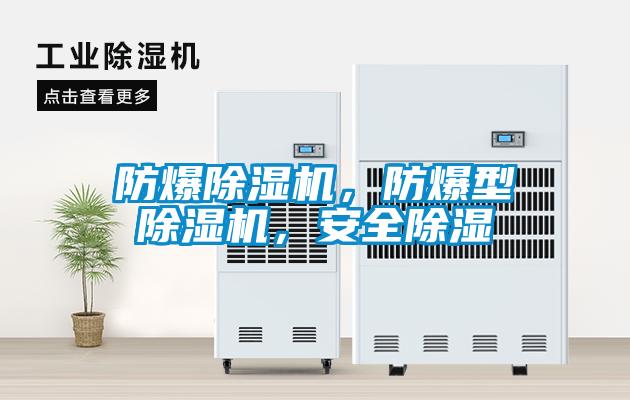 防爆91视频链接下载，防爆型91视频链接下载，安全除濕