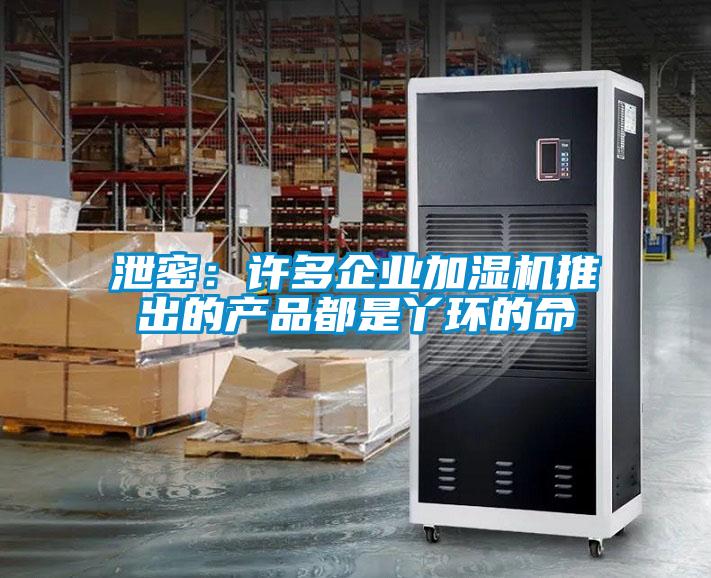 泄密：許多企業加濕機推出的產品都是丫環的命