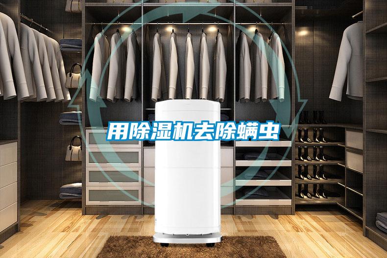 用91视频链接下载去除蟎蟲